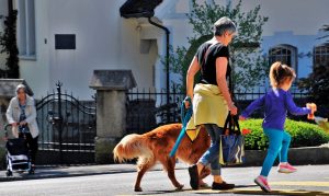 Regenera y la regeneración urbana: construyendo ciudades llenas de vida